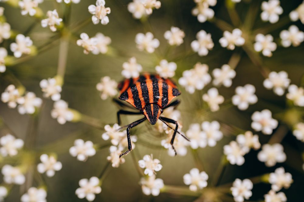 Photograph by Роман Трунилин