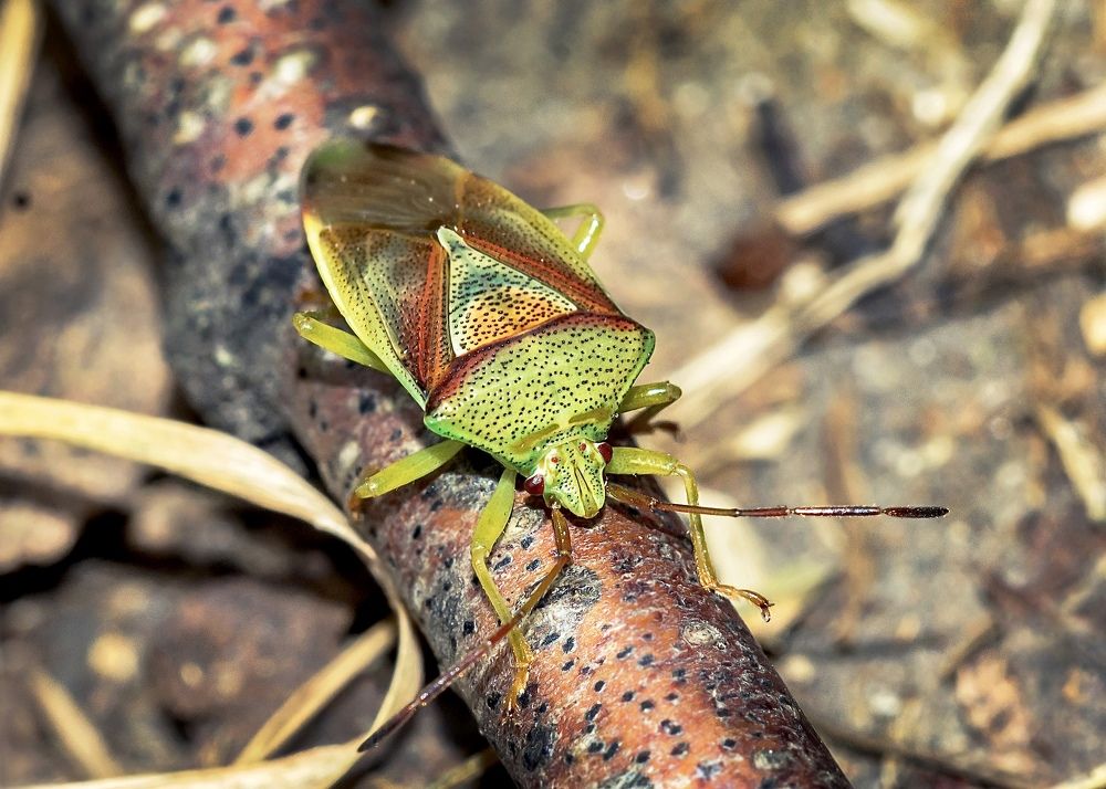 Photograph by Валерий Пегушев
