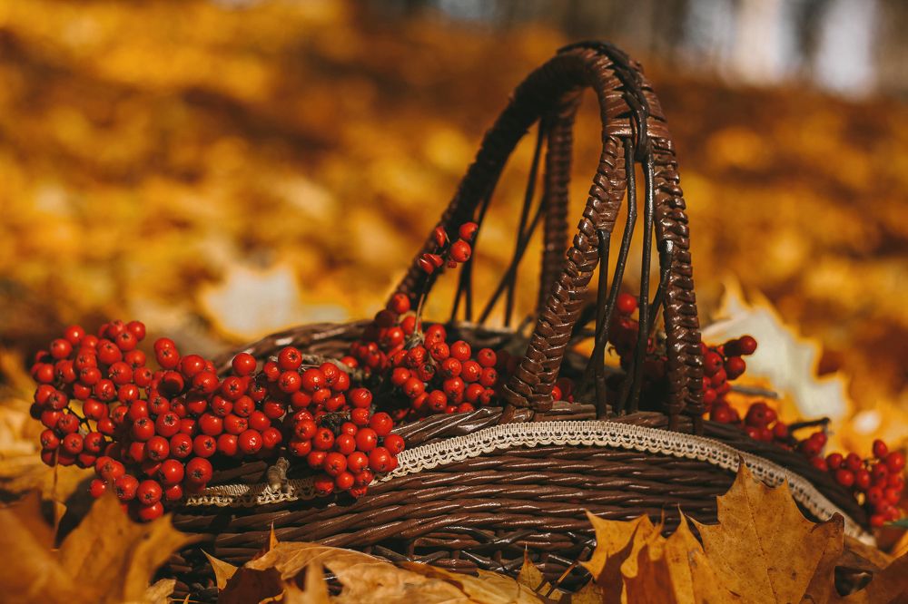 Photograph by Евгений Белов