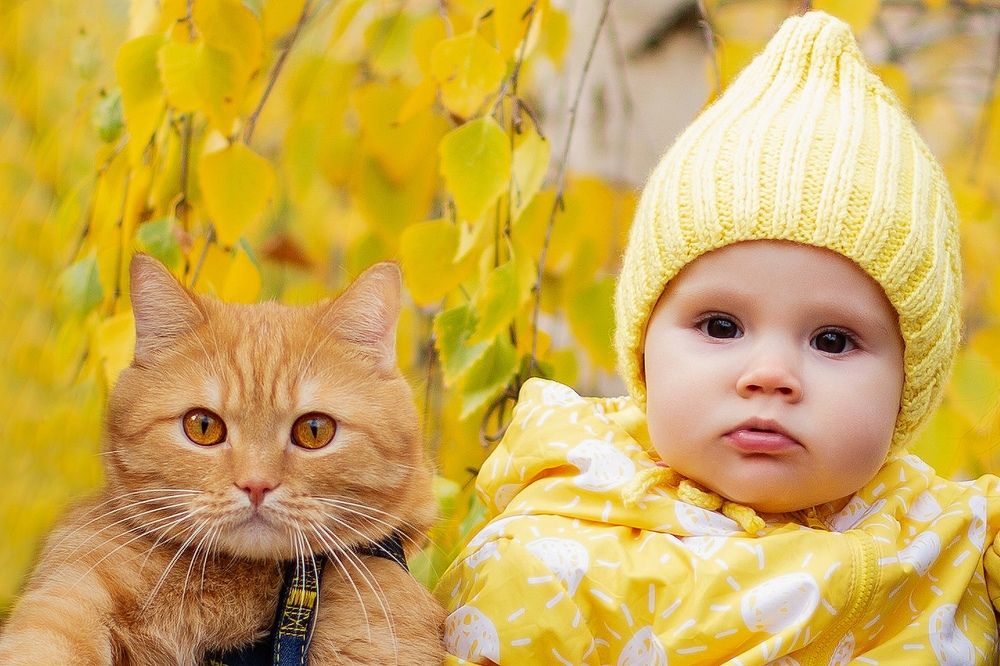 Photograph by Сосновских Вячеслав