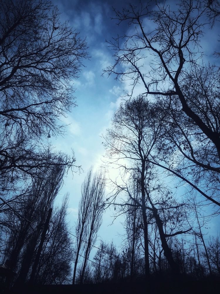 Фотография автора Zahra Seyedmorti