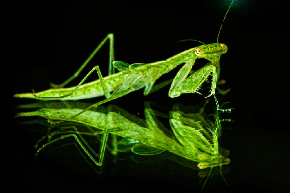 Photograph by Sharel Albor