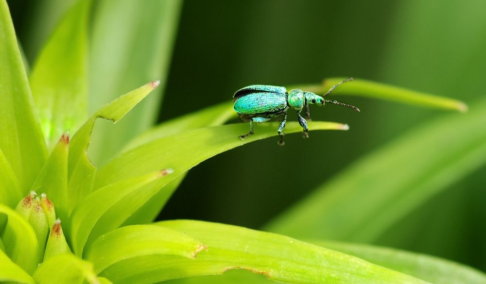 Photograph by Svetlana Karnauh Карнаух