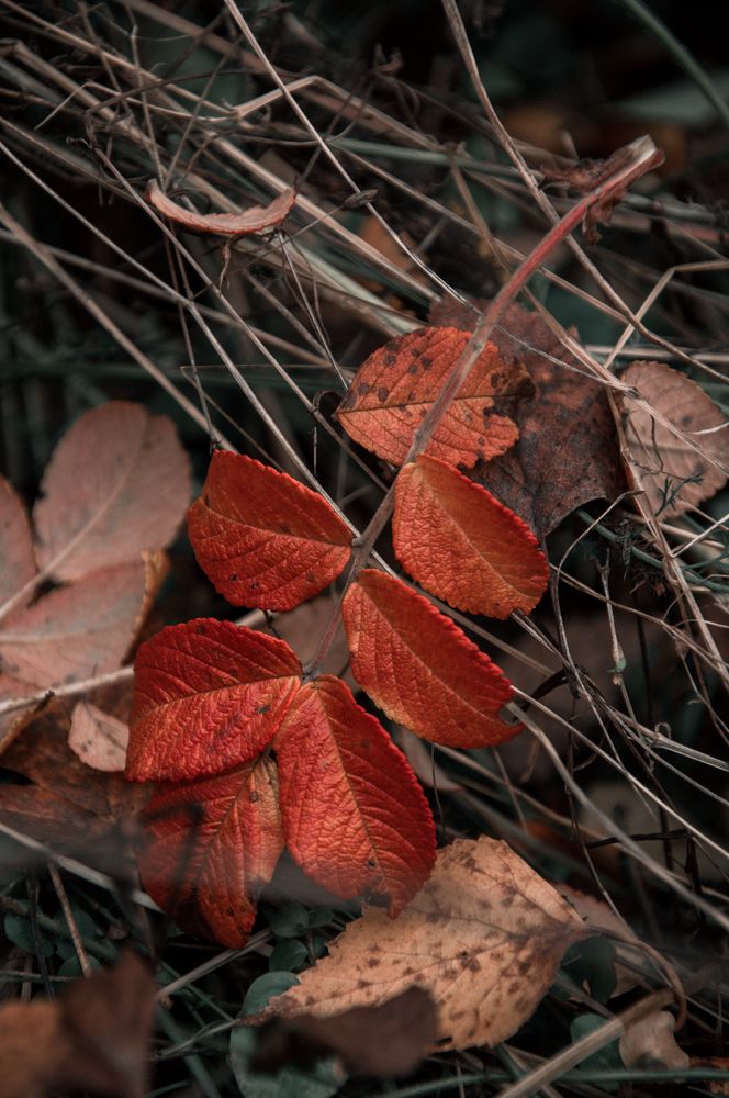 Photograph by Макс Мишулин