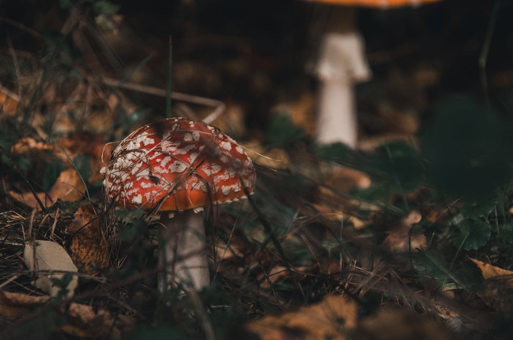 Photograph by Макс Мишулин