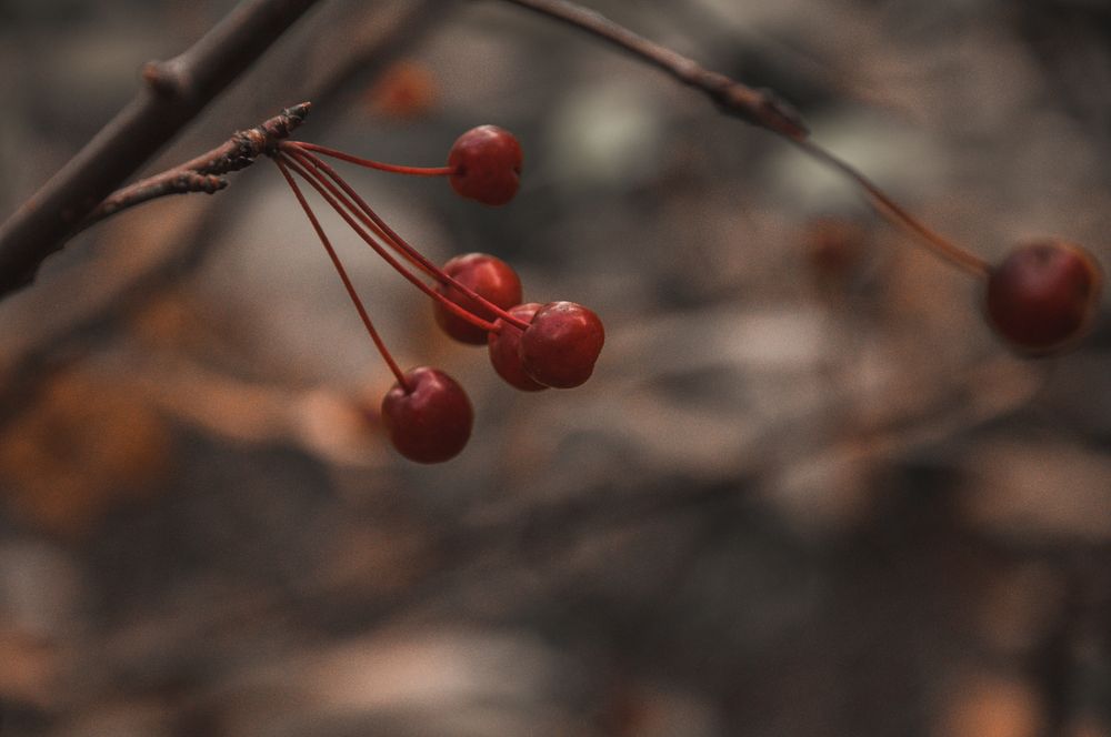 Photograph by Макс Мишулин