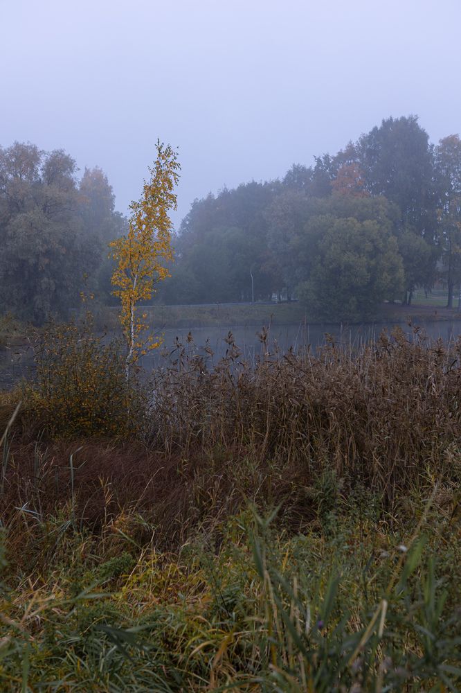 Фотография автора Игорь Ахремчик