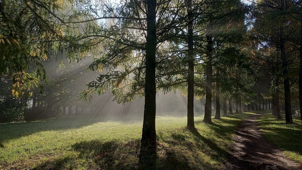 Photo #8124436