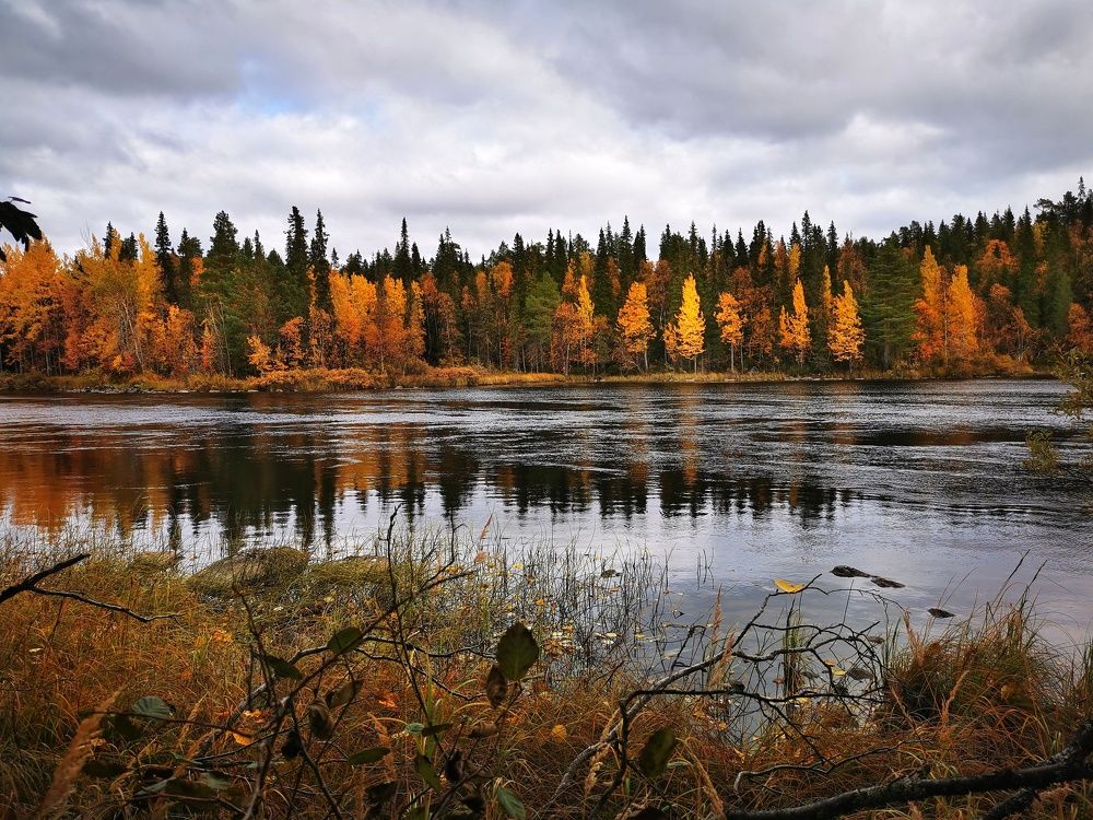 Photograph by Елена Артёменко