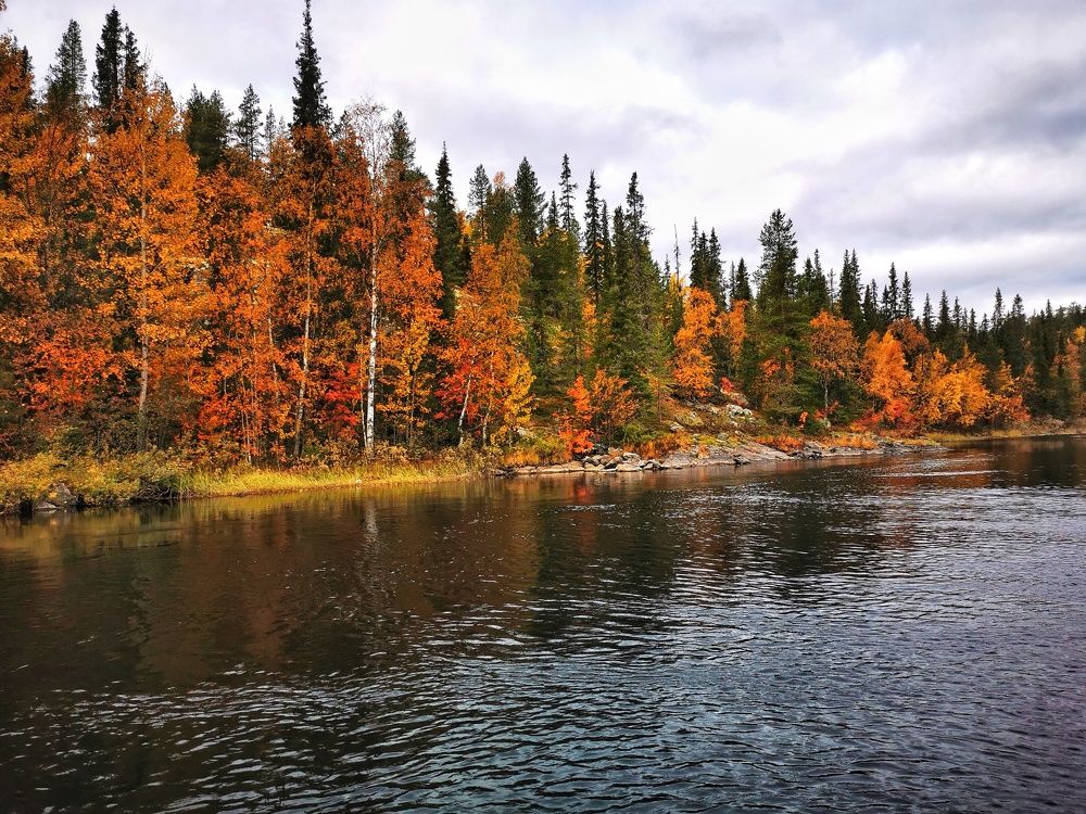 Photograph by Елена Артёменко