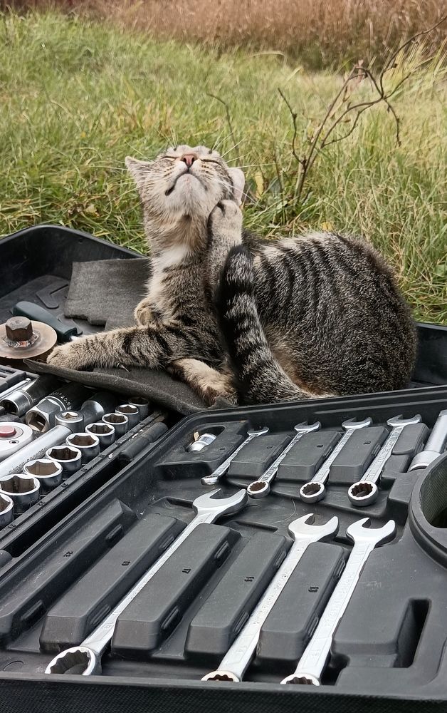 Photograph by Елена