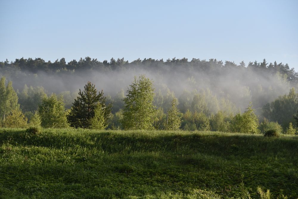 Photograph by Ольга Струкалина