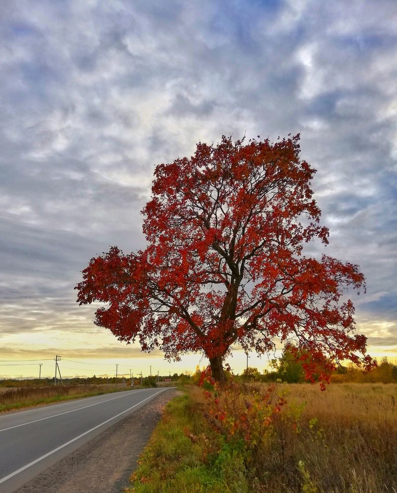 Photograph by Татьяна Смирнова