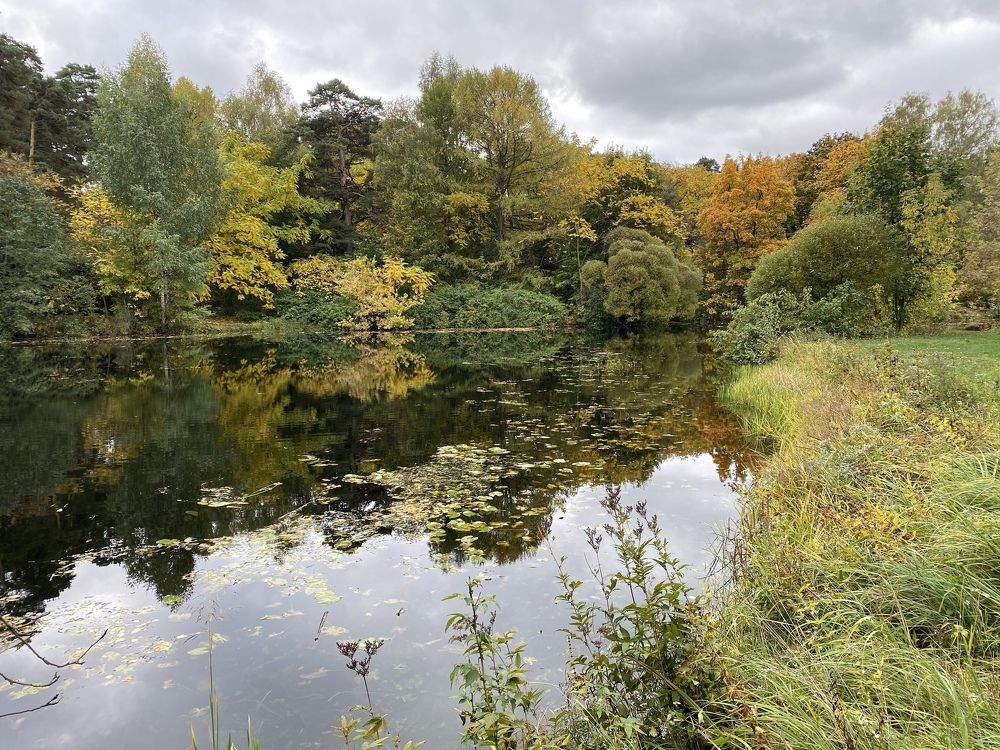 Фотография автора Ольга Горюнова