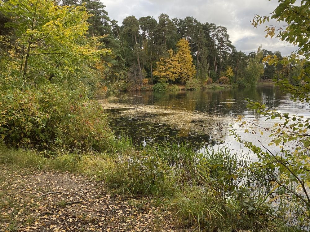 Фотография автора Ольга Горюнова