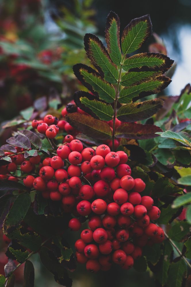 Photograph by Анастасия