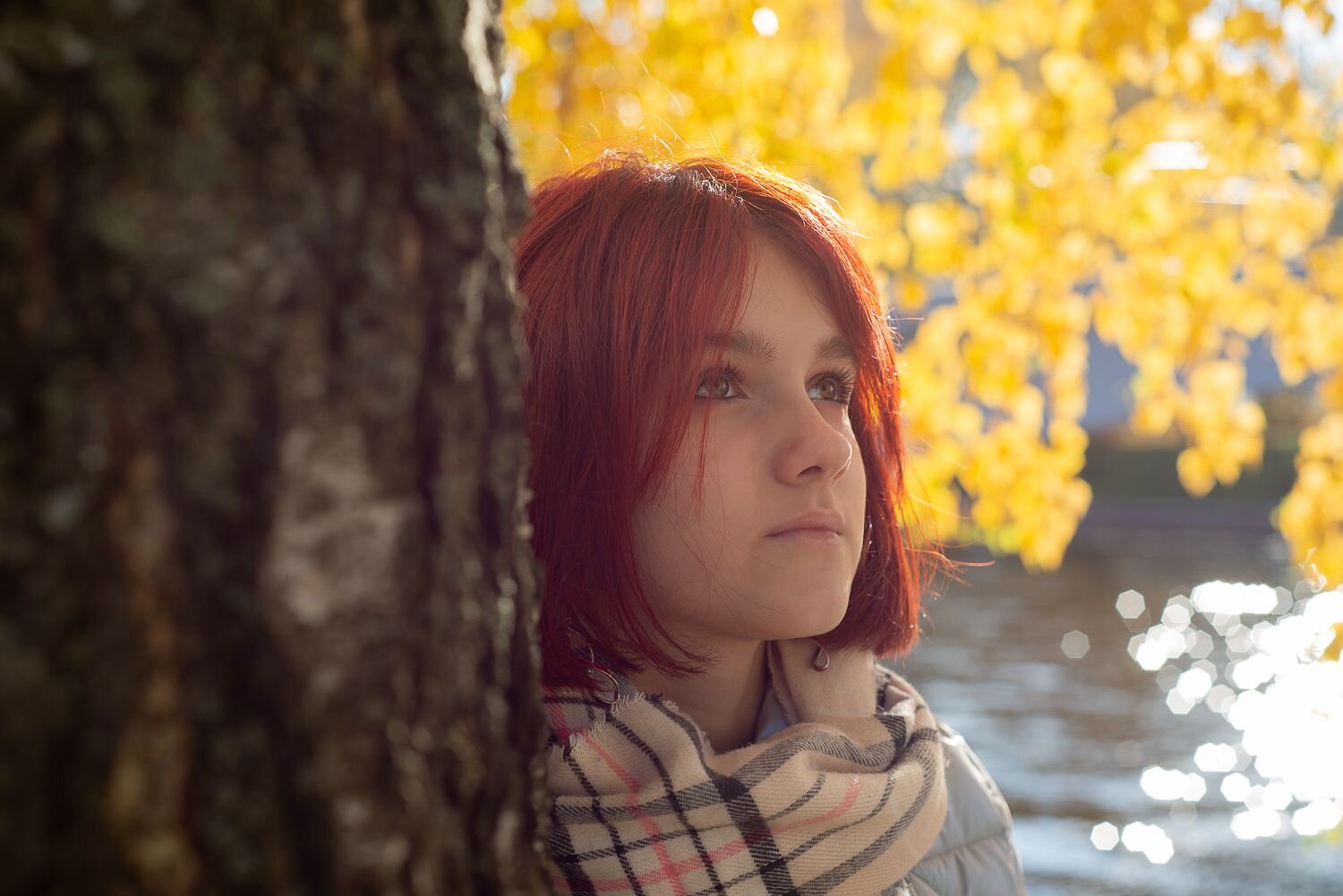 Photo #8124615