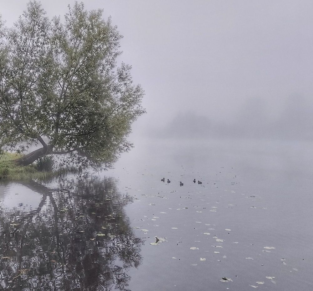 Фотография автора Крючков Виктор
