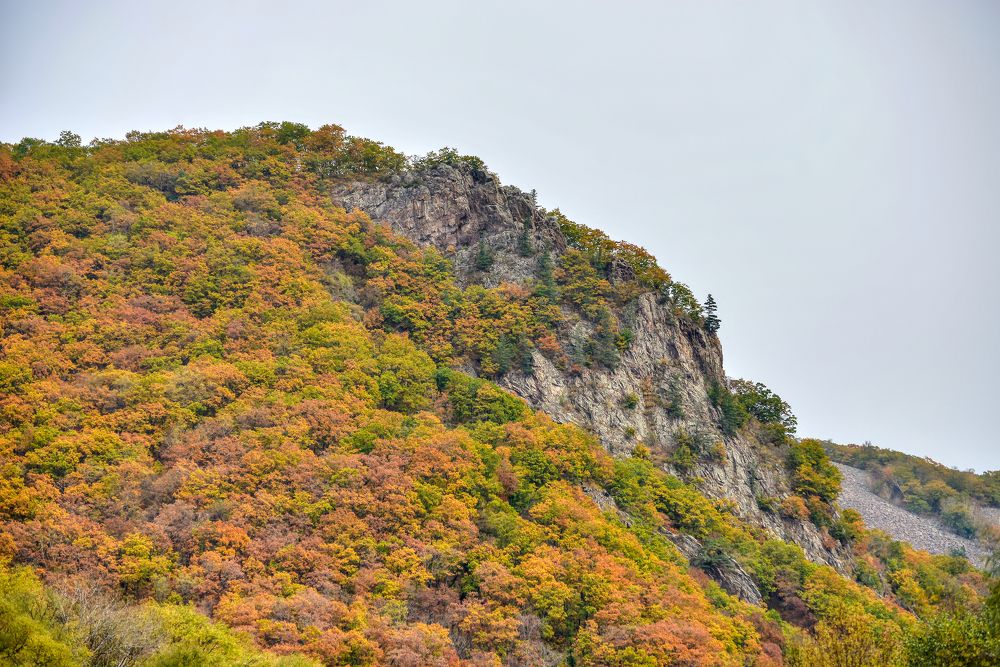 Photograph by Ковалёв Игорь