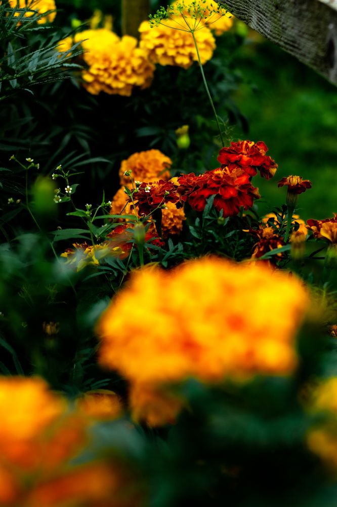 Photograph by Сергей Аникушин