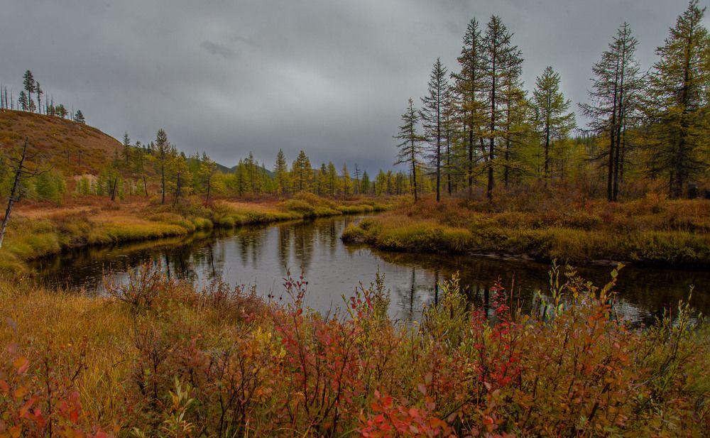 Photograph by Ксения Никифорова