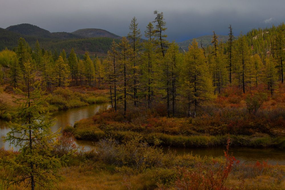 Photograph by Ксения Никифорова