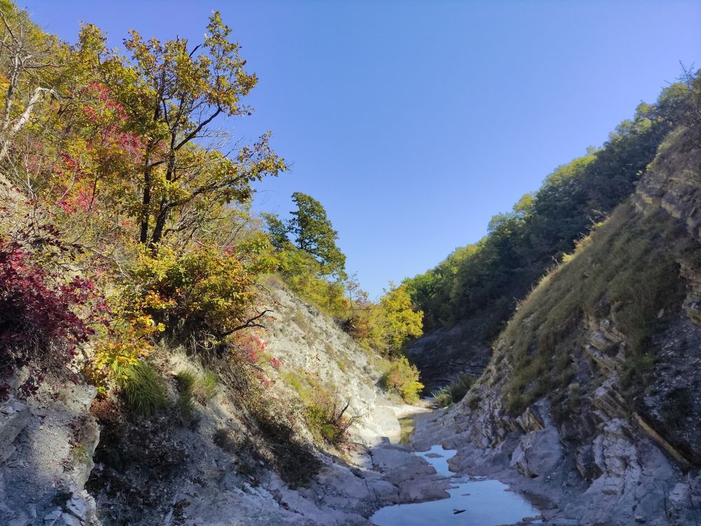 Photograph by Ирина Алексеевская