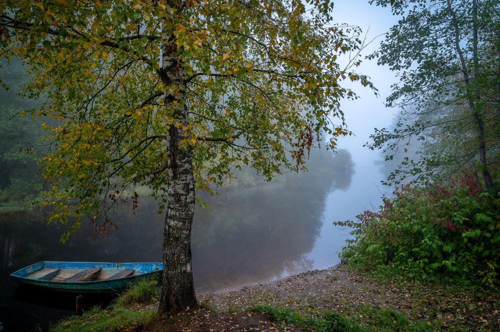Фотография автора Андрей Васильев