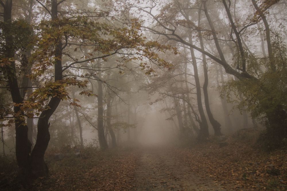 Photograph by iliya levkov