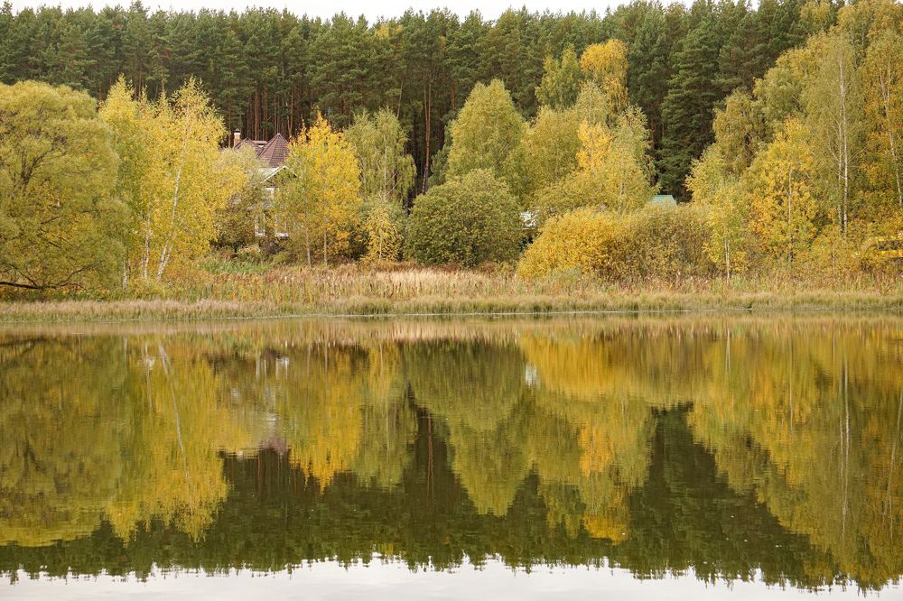 Photograph by Алфия Бугакова