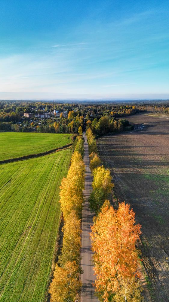 Photograph by Андрей Нурулин