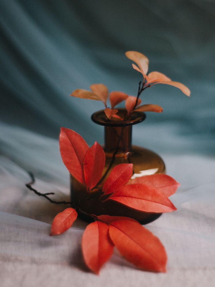 Photograph by Ксения Лаевская