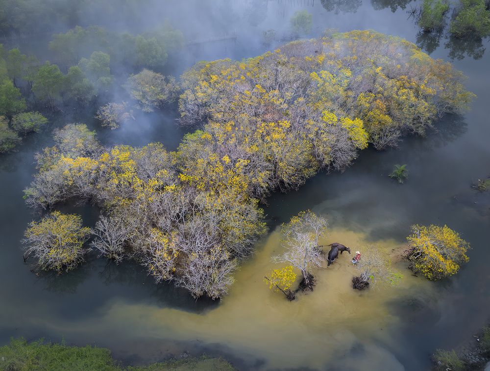 Photograph by NGUYEN HAI