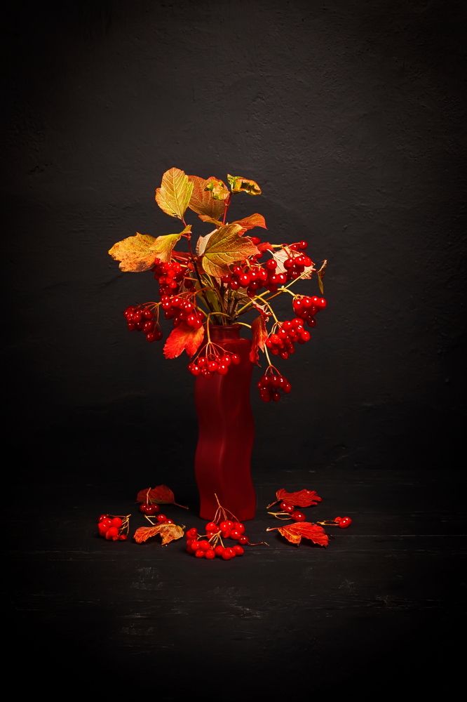 Photograph by Сундеев Дмитрий