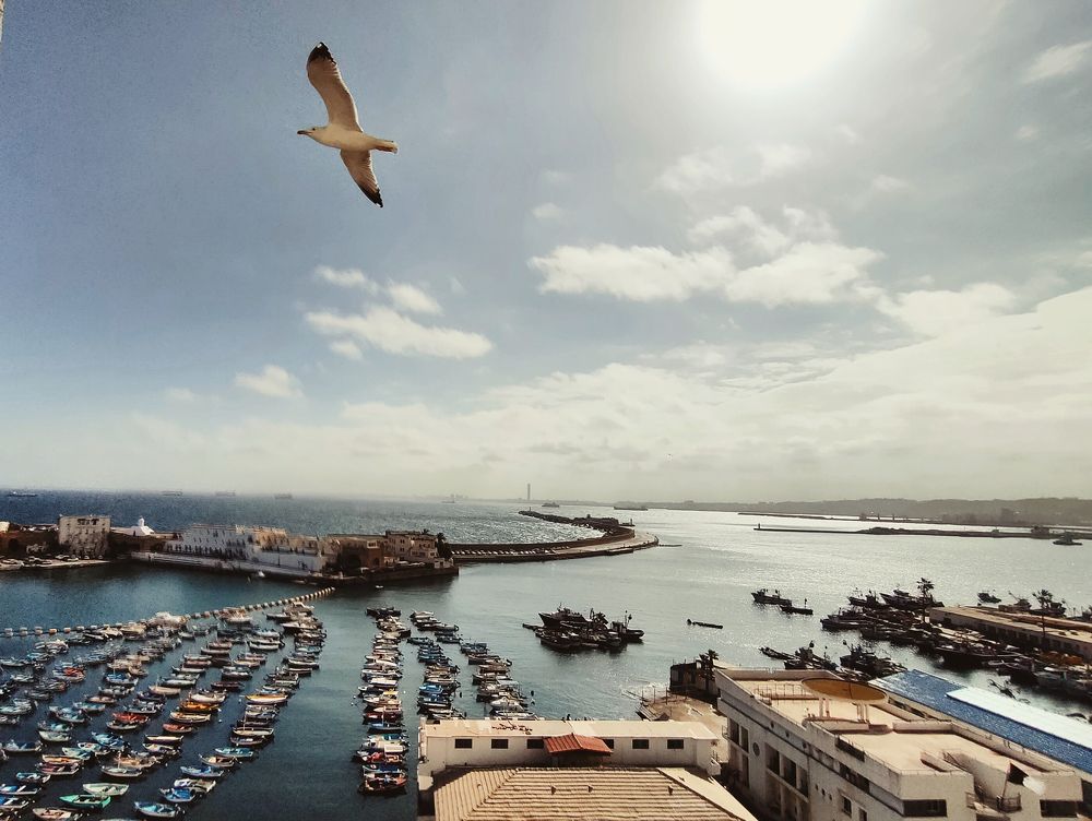 Photograph by Mohamed Kaouche