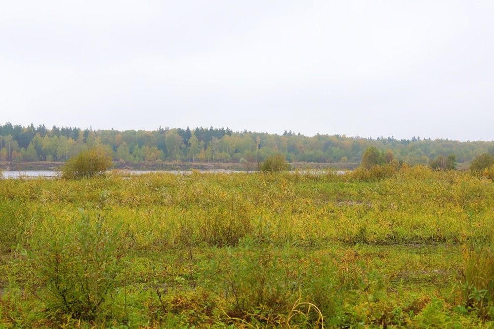 Photograph by Наталья Ананьева