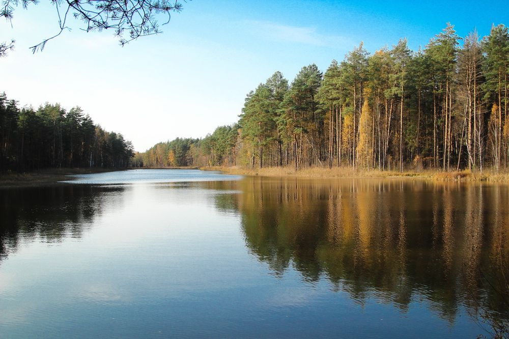 Photograph by Татьяна Погребная