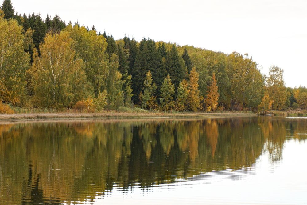 Photograph by Алфия Бугакова