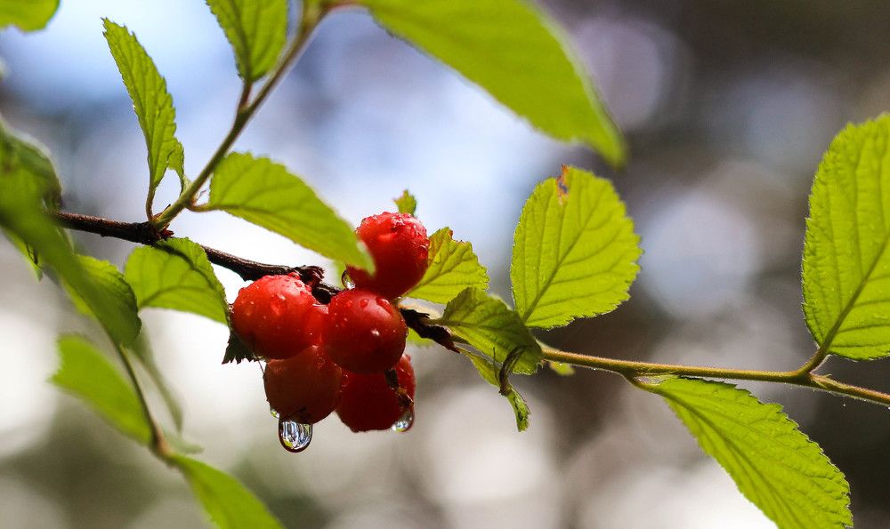 Photograph by Константин Искучеков