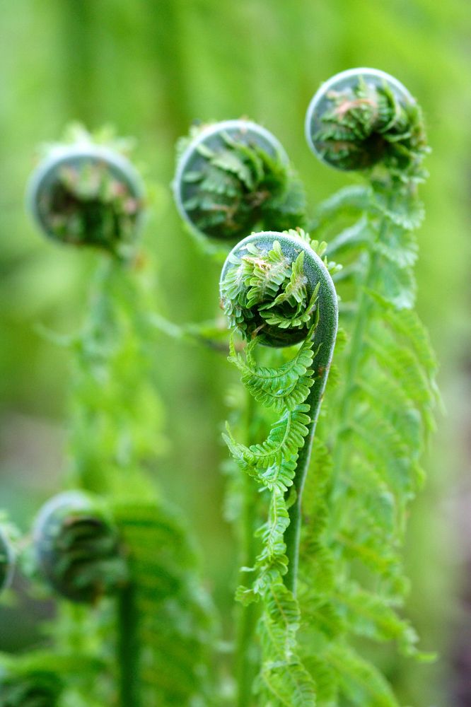 Photograph by Елена Фокина