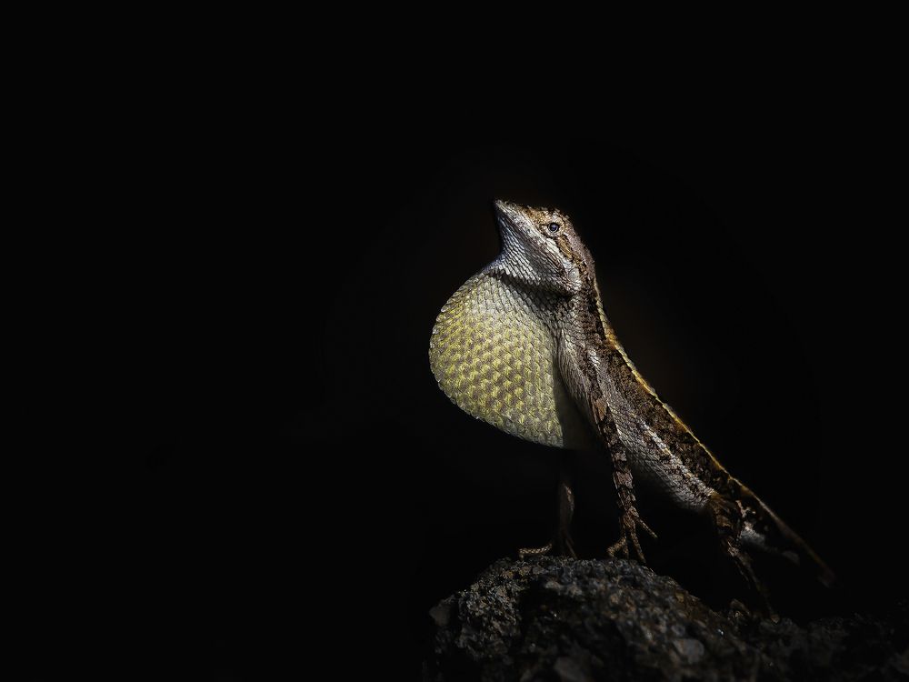 Photograph by Vinay Badhe