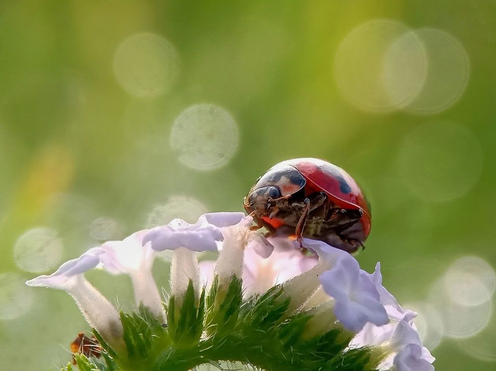 Photograph by Zaki Purnomo