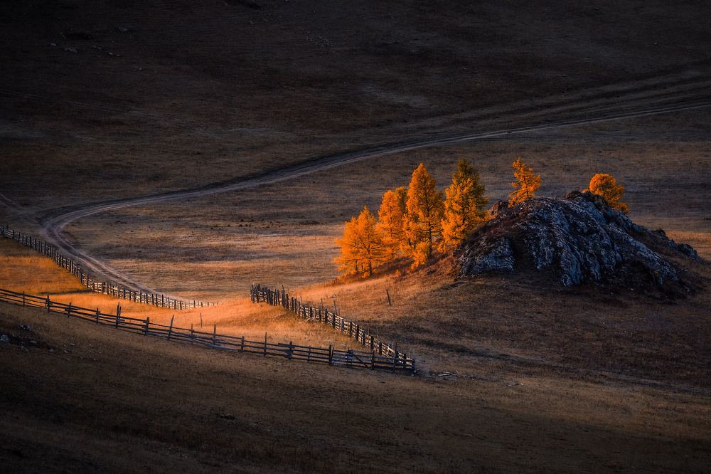 Photograph by Алексей Вымятнин