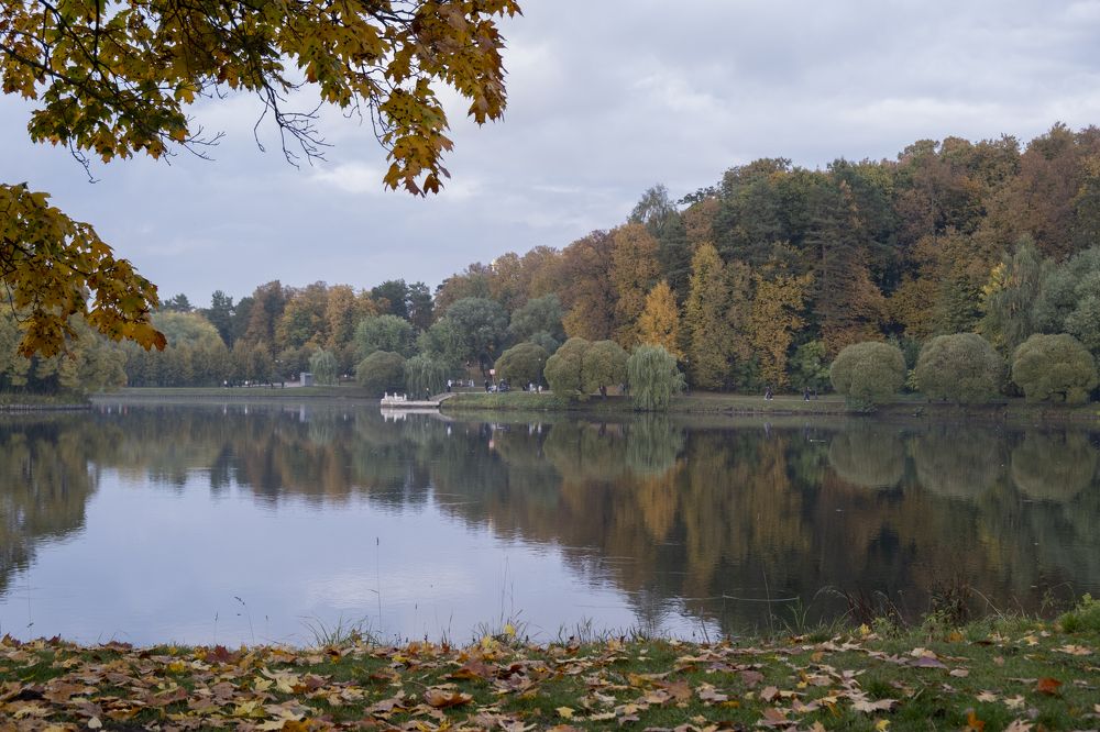 Photograph by Татьяна Павловская