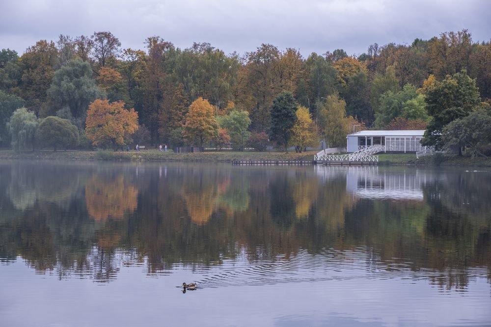 Photograph by Татьяна Павловская