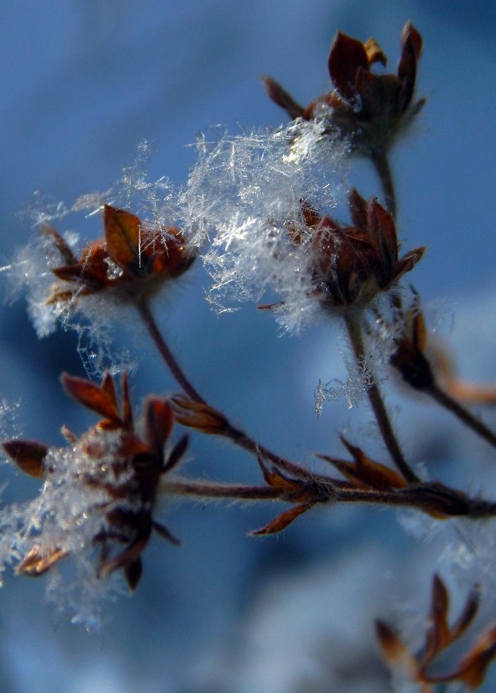 Photograph by Наталья Соколова