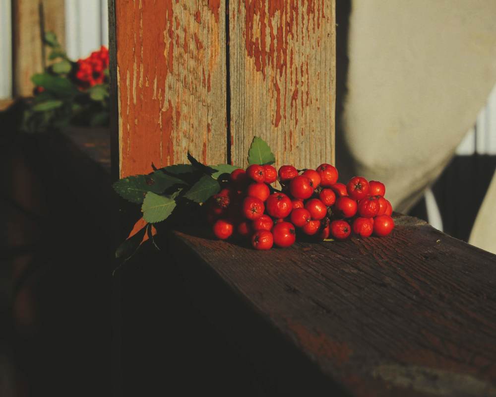 Photograph by Алия Аткельтирова