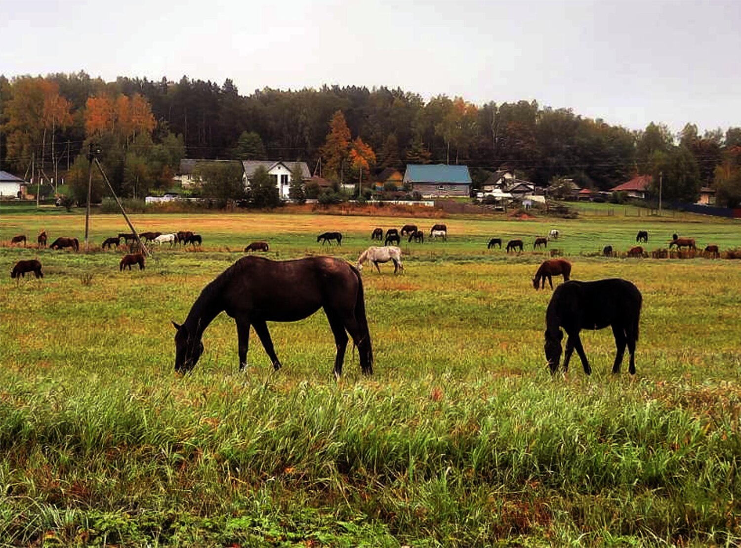 Photo #8125019