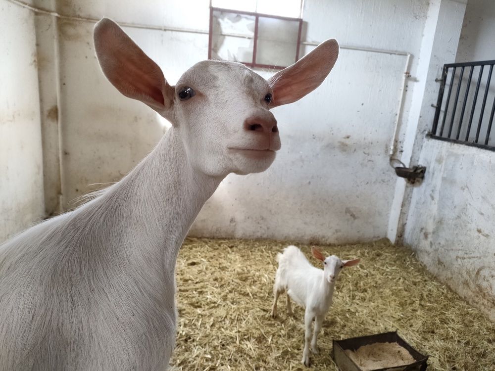 Photograph by Mohamed Kaouche