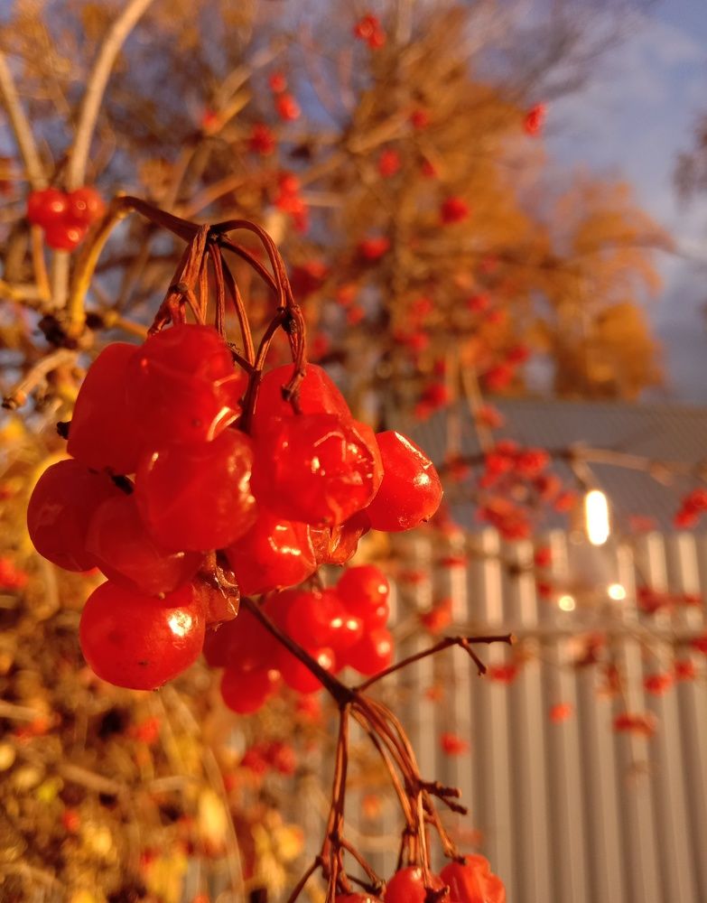 Photograph by Снежана Шепель